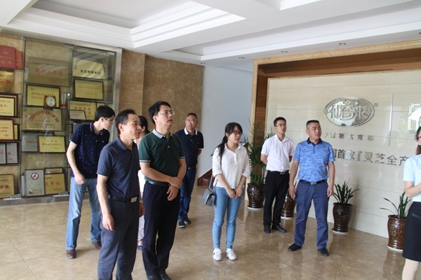 杭州亞運(yùn)會(huì)官方靈芝產(chǎn)品供應(yīng)商|杭州亞運(yùn)會(huì)官方供應(yīng)商|中國(guó)靈芝十大品牌|仙客來靈芝|仙客來靈芝破壁孢子粉|仙客來孢子油|仙客來靈芝飲片|仙客來破壁孢子粉|靈芝孢子油|孢子粉|靈芝破壁孢子粉|靈芝|中華老字號(hào)