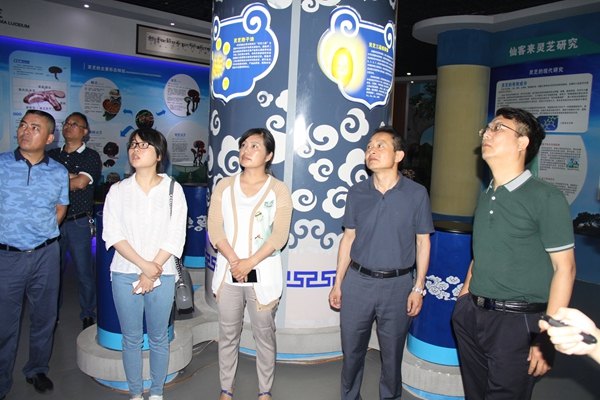 杭州亞運(yùn)會(huì)官方靈芝產(chǎn)品供應(yīng)商|杭州亞運(yùn)會(huì)官方供應(yīng)商|中國(guó)靈芝十大品牌|仙客來靈芝|仙客來靈芝破壁孢子粉|仙客來孢子油|仙客來靈芝飲片|仙客來破壁孢子粉|靈芝孢子油|孢子粉|靈芝破壁孢子粉|靈芝|中華老字號(hào)