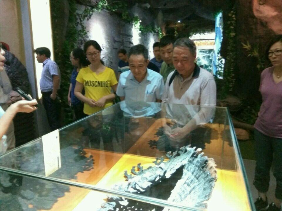 杭州亞運(yùn)會(huì)官方靈芝產(chǎn)品供應(yīng)商|杭州亞運(yùn)會(huì)官方供應(yīng)商|中國(guó)靈芝十大品牌|仙客來(lái)靈芝|仙客來(lái)靈芝破壁孢子粉|仙客來(lái)孢子油|仙客來(lái)靈芝飲片|仙客來(lái)破壁孢子粉|靈芝孢子油|孢子粉|靈芝破壁孢子粉|靈芝|中華老字號(hào) 杭州亞運(yùn)會(huì)官方靈芝產(chǎn)品供應(yīng)商|杭州亞運(yùn)會(huì)官方供應(yīng)商|中國(guó)靈芝十大品牌|仙客來(lái)靈芝|仙客來(lái)靈芝破壁孢子粉|仙客來(lái)孢子油|仙客來(lái)靈芝飲片|仙客來(lái)破壁孢子粉|靈芝孢子油|孢子粉|靈芝破壁孢子粉|靈芝|中華老字號(hào)