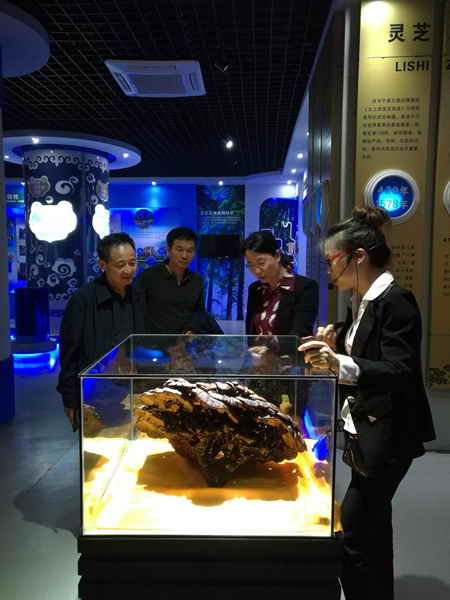 杭州亞運會官方靈芝產(chǎn)品供應(yīng)商|杭州亞運會官方供應(yīng)商|中國靈芝十大品牌|仙客來靈芝|仙客來靈芝破壁孢子粉|仙客來孢子油|仙客來靈芝飲片|仙客來破壁孢子粉|靈芝孢子油|孢子粉|靈芝破壁孢子粉|靈芝|中華老字號 杭州亞運會官方靈芝產(chǎn)品供應(yīng)商|杭州亞運會官方供應(yīng)商|中國靈芝十大品牌|仙客來靈芝|仙客來靈芝破壁孢子粉|仙客來孢子油|仙客來靈芝飲片|仙客來破壁孢子粉|靈芝孢子油|孢子粉|靈芝破壁孢子粉|靈芝|中華老字號