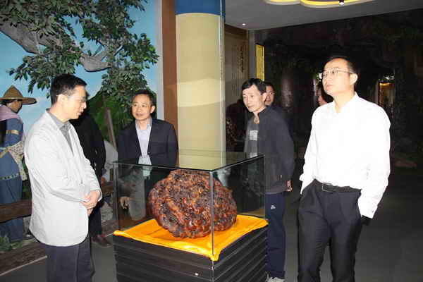 杭州亞運(yùn)會官方靈芝產(chǎn)品供應(yīng)商|杭州亞運(yùn)會官方供應(yīng)商|中國靈芝十大品牌|仙客來靈芝|仙客來靈芝破壁孢子粉|仙客來孢子油|仙客來靈芝飲片|仙客來破壁孢子粉|靈芝孢子油|孢子粉|靈芝破壁孢子粉|靈芝|中華老字號 杭州亞運(yùn)會官方靈芝產(chǎn)品供應(yīng)商|杭州亞運(yùn)會官方供應(yīng)商|中國靈芝十大品牌|仙客來靈芝|仙客來靈芝破壁孢子粉|仙客來孢子油|仙客來靈芝飲片|仙客來破壁孢子粉|靈芝孢子油|孢子粉|靈芝破壁孢子粉|靈芝|中華老字號