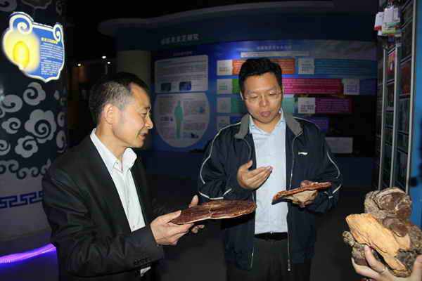 杭州亞運(yùn)會(huì)官方靈芝產(chǎn)品供應(yīng)商|杭州亞運(yùn)會(huì)官方供應(yīng)商|中國靈芝十大品牌|仙客來靈芝|仙客來靈芝破壁孢子粉|仙客來孢子油|仙客來靈芝飲片|仙客來破壁孢子粉|靈芝孢子油|孢子粉|靈芝破壁孢子粉|靈芝|中華老字號(hào)