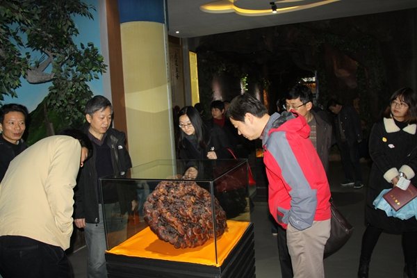 杭州亞運(yùn)會(huì)官方靈芝產(chǎn)品供應(yīng)商|杭州亞運(yùn)會(huì)官方供應(yīng)商|中國(guó)靈芝十大品牌|仙客來靈芝|仙客來靈芝破壁孢子粉|仙客來孢子油|仙客來靈芝飲片|仙客來破壁孢子粉|靈芝孢子油|孢子粉|靈芝破壁孢子粉|靈芝|中華老字號(hào) 杭州亞運(yùn)會(huì)官方靈芝產(chǎn)品供應(yīng)商|杭州亞運(yùn)會(huì)官方供應(yīng)商|中國(guó)靈芝十大品牌|仙客來靈芝|仙客來靈芝破壁孢子粉|仙客來孢子油|仙客來靈芝飲片|仙客來破壁孢子粉|靈芝孢子油|孢子粉|靈芝破壁孢子粉|靈芝|中華老字號(hào)