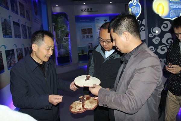 杭州亞運(yùn)會(huì)官方靈芝產(chǎn)品供應(yīng)商|杭州亞運(yùn)會(huì)官方供應(yīng)商|中國靈芝十大品牌|仙客來靈芝|仙客來靈芝破壁孢子粉|仙客來孢子油|仙客來靈芝飲片|仙客來破壁孢子粉|靈芝孢子油|孢子粉|靈芝破壁孢子粉|靈芝|中華老字號(hào)