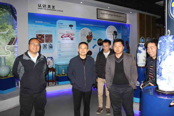 杭州亞運(yùn)會(huì)官方靈芝產(chǎn)品供應(yīng)商|杭州亞運(yùn)會(huì)官方供應(yīng)商|中國靈芝十大品牌|仙客來靈芝|仙客來靈芝破壁孢子粉|仙客來孢子油|仙客來靈芝飲片|仙客來破壁孢子粉|靈芝孢子油|孢子粉|靈芝破壁孢子粉|靈芝|中華老字號(hào)