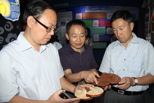 杭州亞運會官方靈芝產品供應商|杭州亞運會官方供應商|中國靈芝十大品牌|仙客來靈芝|仙客來靈芝破壁孢子粉|仙客來孢子油|仙客來靈芝飲片|仙客來破壁孢子粉|靈芝孢子油|孢子粉|靈芝破壁孢子粉|靈芝|中華老字號 杭州亞運會官方靈芝產品供應商|杭州亞運會官方供應商|中國靈芝十大品牌|仙客來靈芝|仙客來靈芝破壁孢子粉|仙客來孢子油|仙客來靈芝飲片|仙客來破壁孢子粉|靈芝孢子油|孢子粉|靈芝破壁孢子粉|靈芝|中華老字號