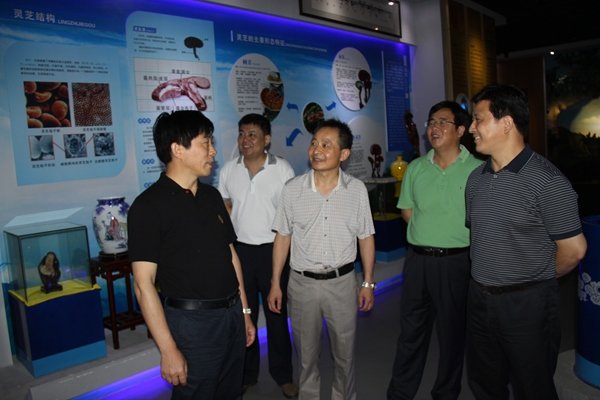 杭州亞運(yùn)會官方靈芝產(chǎn)品供應(yīng)商|杭州亞運(yùn)會官方供應(yīng)商|中國靈芝十大品牌|仙客來靈芝|仙客來靈芝破壁孢子粉|仙客來孢子油|仙客來靈芝飲片|仙客來破壁孢子粉|靈芝孢子油|孢子粉|靈芝破壁孢子粉|靈芝|中華老字號 杭州亞運(yùn)會官方靈芝產(chǎn)品供應(yīng)商|杭州亞運(yùn)會官方供應(yīng)商|中國靈芝十大品牌|仙客來靈芝|仙客來靈芝破壁孢子粉|仙客來孢子油|仙客來靈芝飲片|仙客來破壁孢子粉|靈芝孢子油|孢子粉|靈芝破壁孢子粉|靈芝|中華老字號