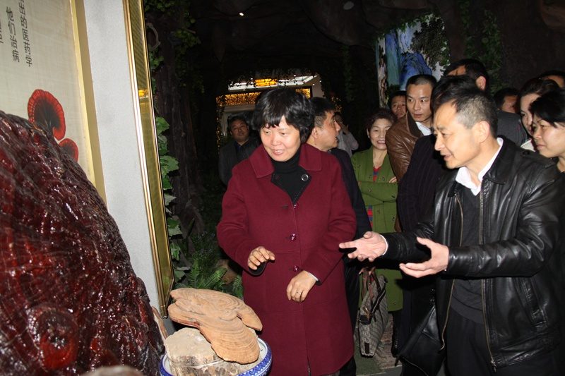 杭州亞運(yùn)會(huì)官方靈芝產(chǎn)品供應(yīng)商|杭州亞運(yùn)會(huì)官方供應(yīng)商|中國(guó)靈芝十大品牌|仙客來(lái)靈芝|仙客來(lái)靈芝破壁孢子粉|仙客來(lái)孢子油|仙客來(lái)靈芝飲片|仙客來(lái)破壁孢子粉|靈芝孢子油|孢子粉|靈芝破壁孢子粉|靈芝|中華老字號(hào) 杭州亞運(yùn)會(huì)官方靈芝產(chǎn)品供應(yīng)商|杭州亞運(yùn)會(huì)官方供應(yīng)商|中國(guó)靈芝十大品牌|仙客來(lái)靈芝|仙客來(lái)靈芝破壁孢子粉|仙客來(lái)孢子油|仙客來(lái)靈芝飲片|仙客來(lái)破壁孢子粉|靈芝孢子油|孢子粉|靈芝破壁孢子粉|靈芝|中華老字號(hào)