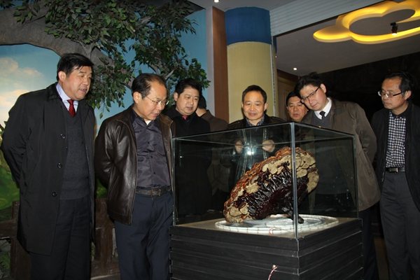 杭州亞運(yùn)會官方靈芝產(chǎn)品供應(yīng)商|杭州亞運(yùn)會官方供應(yīng)商|中國靈芝十大品牌|仙客來靈芝|仙客來靈芝破壁孢子粉|仙客來孢子油|仙客來靈芝飲片|仙客來破壁孢子粉|靈芝孢子油|孢子粉|靈芝破壁孢子粉|靈芝|中華老字號 杭州亞運(yùn)會官方靈芝產(chǎn)品供應(yīng)商|杭州亞運(yùn)會官方供應(yīng)商|中國靈芝十大品牌|仙客來靈芝|仙客來靈芝破壁孢子粉|仙客來孢子油|仙客來靈芝飲片|仙客來破壁孢子粉|靈芝孢子油|孢子粉|靈芝破壁孢子粉|靈芝|中華老字號