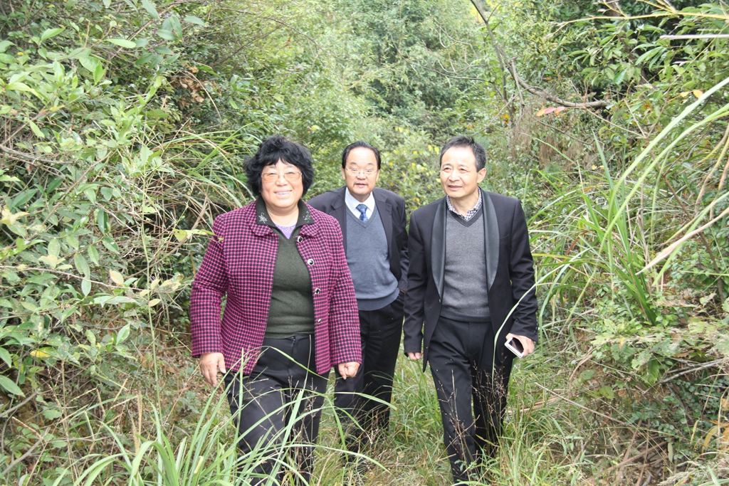 杭州亞運會官方靈芝產(chǎn)品供應(yīng)商|杭州亞運會官方供應(yīng)商|中國靈芝十大品牌|仙客來靈芝|仙客來靈芝破壁孢子粉|仙客來孢子油|仙客來靈芝飲片|仙客來破壁孢子粉|靈芝孢子油|孢子粉|靈芝破壁孢子粉|靈芝|中華老字號