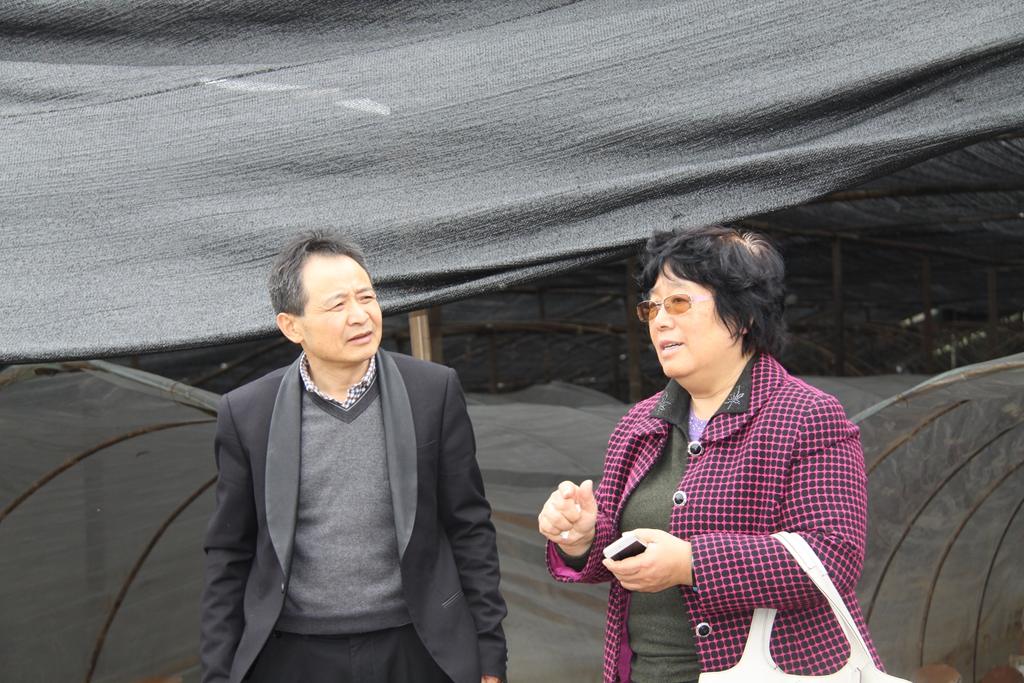 杭州亞運會官方靈芝產(chǎn)品供應(yīng)商|杭州亞運會官方供應(yīng)商|中國靈芝十大品牌|仙客來靈芝|仙客來靈芝破壁孢子粉|仙客來孢子油|仙客來靈芝飲片|仙客來破壁孢子粉|靈芝孢子油|孢子粉|靈芝破壁孢子粉|靈芝|中華老字號