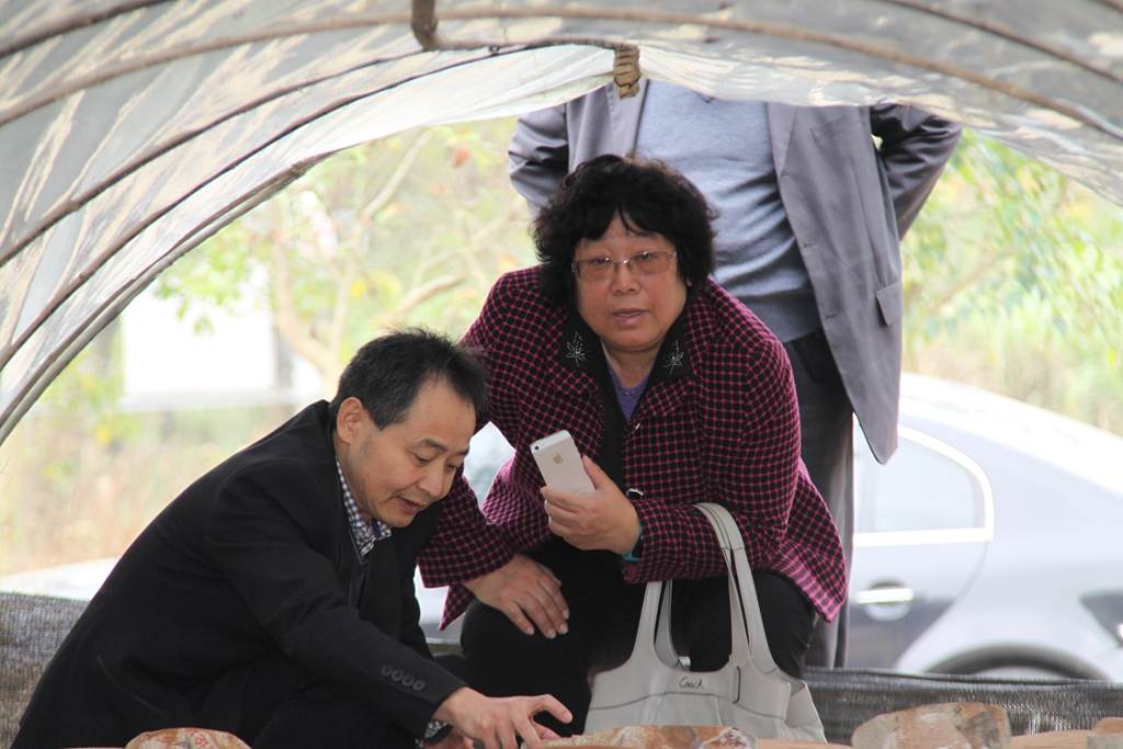 杭州亞運會官方靈芝產(chǎn)品供應(yīng)商|杭州亞運會官方供應(yīng)商|中國靈芝十大品牌|仙客來靈芝|仙客來靈芝破壁孢子粉|仙客來孢子油|仙客來靈芝飲片|仙客來破壁孢子粉|靈芝孢子油|孢子粉|靈芝破壁孢子粉|靈芝|中華老字號