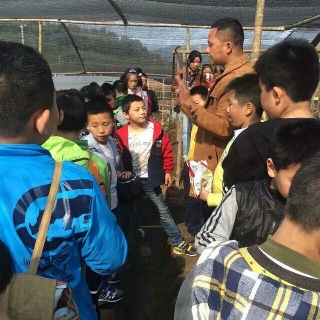 杭州亞運會官方靈芝產品供應商|杭州亞運會官方供應商|中國靈芝十大品牌|仙客來靈芝|仙客來靈芝破壁孢子粉|仙客來孢子油|仙客來靈芝飲片|仙客來破壁孢子粉|靈芝孢子油|孢子粉|靈芝破壁孢子粉|靈芝|中華老字號