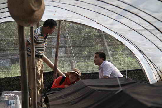 杭州亞運會官方靈芝產(chǎn)品供應商|杭州亞運會官方供應商|中國靈芝十大品牌|仙客來靈芝|仙客來靈芝破壁孢子粉|仙客來孢子油|仙客來靈芝飲片|仙客來破壁孢子粉|靈芝孢子油|孢子粉|靈芝破壁孢子粉|靈芝|中華老字號 杭州亞運會官方靈芝產(chǎn)品供應商|杭州亞運會官方供應商|中國靈芝十大品牌|仙客來靈芝|仙客來靈芝破壁孢子粉|仙客來孢子油|仙客來靈芝飲片|仙客來破壁孢子粉|靈芝孢子油|孢子粉|靈芝破壁孢子粉|靈芝|中華老字號