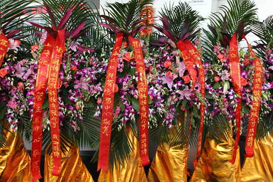 杭州亞運會官方靈芝產(chǎn)品供應商|杭州亞運會官方供應商|中國靈芝十大品牌|仙客來靈芝|仙客來靈芝破壁孢子粉|仙客來孢子油|仙客來靈芝飲片|仙客來破壁孢子粉|靈芝孢子油|孢子粉|靈芝破壁孢子粉|靈芝|中華老字號