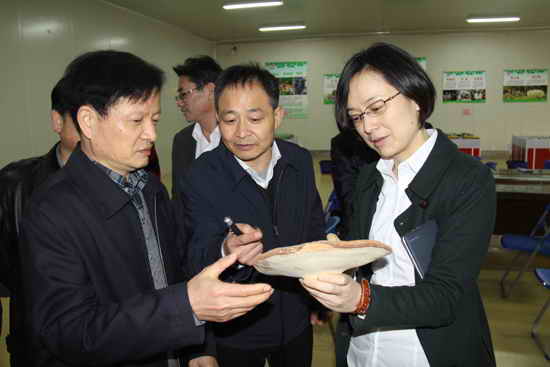 杭州亞運(yùn)會官方靈芝產(chǎn)品供應(yīng)商|杭州亞運(yùn)會官方供應(yīng)商|中國靈芝十大品牌|仙客來靈芝|仙客來靈芝破壁孢子粉|仙客來孢子油|仙客來靈芝飲片|仙客來破壁孢子粉|靈芝孢子油|孢子粉|靈芝破壁孢子粉|靈芝|中華老字號