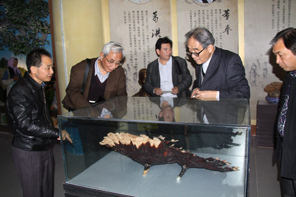 杭州亞運(yùn)會(huì)官方靈芝產(chǎn)品供應(yīng)商|杭州亞運(yùn)會(huì)官方供應(yīng)商|中國(guó)靈芝十大品牌|仙客來靈芝|仙客來靈芝破壁孢子粉|仙客來孢子油|仙客來靈芝飲片|仙客來破壁孢子粉|靈芝孢子油|孢子粉|靈芝破壁孢子粉|靈芝|中華老字號(hào)