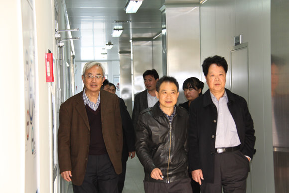 杭州亞運(yùn)會(huì)官方靈芝產(chǎn)品供應(yīng)商|杭州亞運(yùn)會(huì)官方供應(yīng)商|中國(guó)靈芝十大品牌|仙客來靈芝|仙客來靈芝破壁孢子粉|仙客來孢子油|仙客來靈芝飲片|仙客來破壁孢子粉|靈芝孢子油|孢子粉|靈芝破壁孢子粉|靈芝|中華老字號(hào)