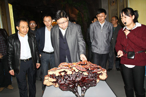 杭州亞運會官方靈芝產(chǎn)品供應(yīng)商|杭州亞運會官方供應(yīng)商|中國靈芝十大品牌|仙客來靈芝|仙客來靈芝破壁孢子粉|仙客來孢子油|仙客來靈芝飲片|仙客來破壁孢子粉|靈芝孢子油|孢子粉|靈芝破壁孢子粉|靈芝|中華老字號