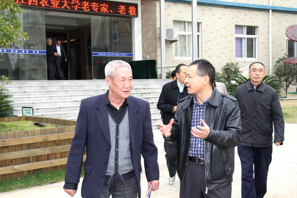 杭州亞運(yùn)會(huì)官方靈芝產(chǎn)品供應(yīng)商|杭州亞運(yùn)會(huì)官方供應(yīng)商|中國(guó)靈芝十大品牌|仙客來(lái)靈芝|仙客來(lái)靈芝破壁孢子粉|仙客來(lái)孢子油|仙客來(lái)靈芝飲片|仙客來(lái)破壁孢子粉|靈芝孢子油|孢子粉|靈芝破壁孢子粉|靈芝|中華老字號(hào)