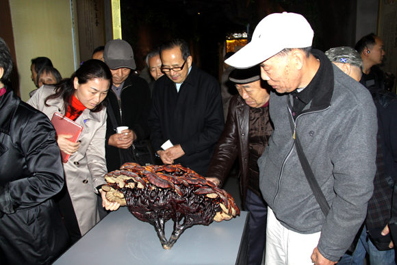 杭州亞運(yùn)會(huì)官方靈芝產(chǎn)品供應(yīng)商|杭州亞運(yùn)會(huì)官方供應(yīng)商|中國(guó)靈芝十大品牌|仙客來(lái)靈芝|仙客來(lái)靈芝破壁孢子粉|仙客來(lái)孢子油|仙客來(lái)靈芝飲片|仙客來(lái)破壁孢子粉|靈芝孢子油|孢子粉|靈芝破壁孢子粉|靈芝|中華老字號(hào)