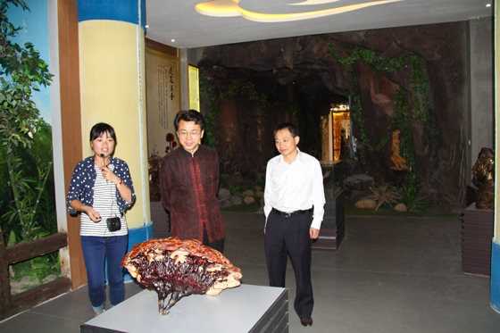 杭州亞運(yùn)會(huì)官方靈芝產(chǎn)品供應(yīng)商|杭州亞運(yùn)會(huì)官方供應(yīng)商|中國靈芝十大品牌|仙客來靈芝|仙客來靈芝破壁孢子粉|仙客來孢子油|仙客來靈芝飲片|仙客來破壁孢子粉|靈芝孢子油|孢子粉|靈芝破壁孢子粉|靈芝|中華老字號(hào)