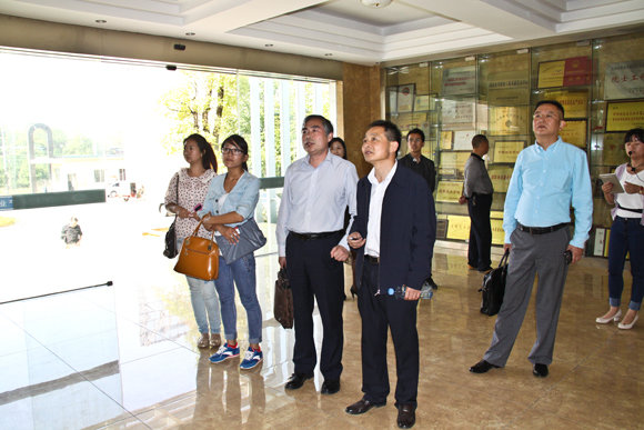 杭州亞運(yùn)會(huì)官方靈芝產(chǎn)品供應(yīng)商|杭州亞運(yùn)會(huì)官方供應(yīng)商|中國(guó)靈芝十大品牌|仙客來(lái)靈芝|仙客來(lái)靈芝破壁孢子粉|仙客來(lái)孢子油|仙客來(lái)靈芝飲片|仙客來(lái)破壁孢子粉|靈芝孢子油|孢子粉|靈芝破壁孢子粉|靈芝|中華老字號(hào)