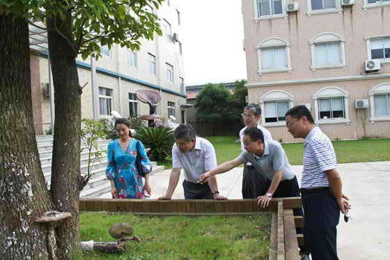 杭州亞運會官方靈芝產(chǎn)品供應(yīng)商|杭州亞運會官方供應(yīng)商|中國靈芝十大品牌|仙客來靈芝|仙客來靈芝破壁孢子粉|仙客來孢子油|仙客來靈芝飲片|仙客來破壁孢子粉|靈芝孢子油|孢子粉|靈芝破壁孢子粉|靈芝|中華老字號 杭州亞運會官方靈芝產(chǎn)品供應(yīng)商|杭州亞運會官方供應(yīng)商|中國靈芝十大品牌|仙客來靈芝|仙客來靈芝破壁孢子粉|仙客來孢子油|仙客來靈芝飲片|仙客來破壁孢子粉|靈芝孢子油|孢子粉|靈芝破壁孢子粉|靈芝|中華老字號