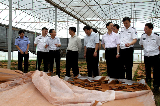 杭州亞運會官方靈芝產(chǎn)品供應(yīng)商|杭州亞運會官方供應(yīng)商|中國靈芝十大品牌|仙客來靈芝|仙客來靈芝破壁孢子粉|仙客來孢子油|仙客來靈芝飲片|仙客來破壁孢子粉|靈芝孢子油|孢子粉|靈芝破壁孢子粉|靈芝|中華老字號 杭州亞運會官方靈芝產(chǎn)品供應(yīng)商|杭州亞運會官方供應(yīng)商|中國靈芝十大品牌|仙客來靈芝|仙客來靈芝破壁孢子粉|仙客來孢子油|仙客來靈芝飲片|仙客來破壁孢子粉|靈芝孢子油|孢子粉|靈芝破壁孢子粉|靈芝|中華老字號