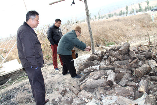 杭州亞運(yùn)會官方靈芝產(chǎn)品供應(yīng)商|杭州亞運(yùn)會官方供應(yīng)商|中國靈芝十大品牌|仙客來靈芝|仙客來靈芝破壁孢子粉|仙客來孢子油|仙客來靈芝飲片|仙客來破壁孢子粉|靈芝孢子油|孢子粉|靈芝破壁孢子粉|靈芝|中華老字號