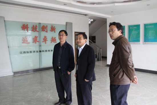 杭州亞運(yùn)會(huì)官方靈芝產(chǎn)品供應(yīng)商|杭州亞運(yùn)會(huì)官方供應(yīng)商|中國(guó)靈芝十大品牌|仙客來(lái)靈芝|仙客來(lái)靈芝破壁孢子粉|仙客來(lái)孢子油|仙客來(lái)靈芝飲片|仙客來(lái)破壁孢子粉|靈芝孢子油|孢子粉|靈芝破壁孢子粉|靈芝|中華老字號(hào)