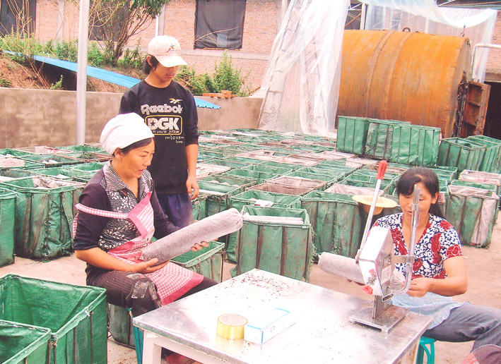 杭州亞運(yùn)會(huì)官方靈芝產(chǎn)品供應(yīng)商|杭州亞運(yùn)會(huì)官方供應(yīng)商|中國靈芝十大品牌|仙客來靈芝|仙客來靈芝破壁孢子粉|仙客來孢子油|仙客來靈芝飲片|仙客來破壁孢子粉|靈芝孢子油|孢子粉|靈芝破壁孢子粉|靈芝|中華老字號(hào)