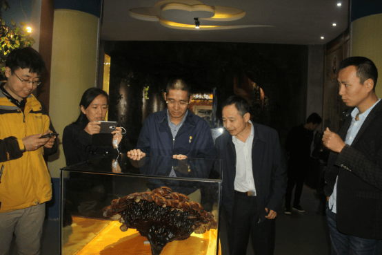 1540446882304851.png 杭州亞運會官方靈芝產(chǎn)品供應(yīng)商|杭州亞運會官方供應(yīng)商|中國靈芝十大品牌|仙客來靈芝|仙客來靈芝破壁孢子粉|仙客來孢子油|仙客來靈芝飲片|仙客來破壁孢子粉|靈芝孢子油|孢子粉|靈芝破壁孢子粉|靈芝|中華老字號