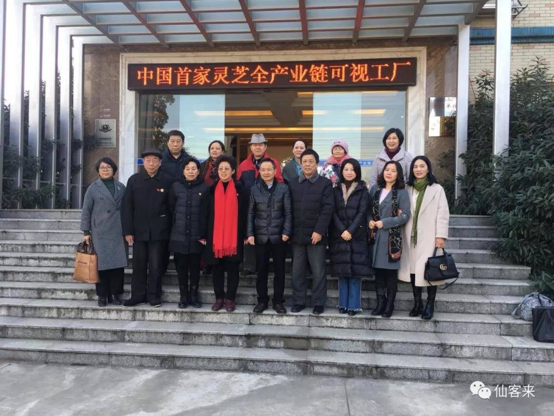 中國靈芝十大品牌|仙客來靈芝|仙客來靈芝破壁孢子粉|仙客來孢子油|仙客來靈芝飲片|仙客來破壁孢子粉|仙客來靈芝中藥飲片|馳名商標|m.ampersand-ads.com|