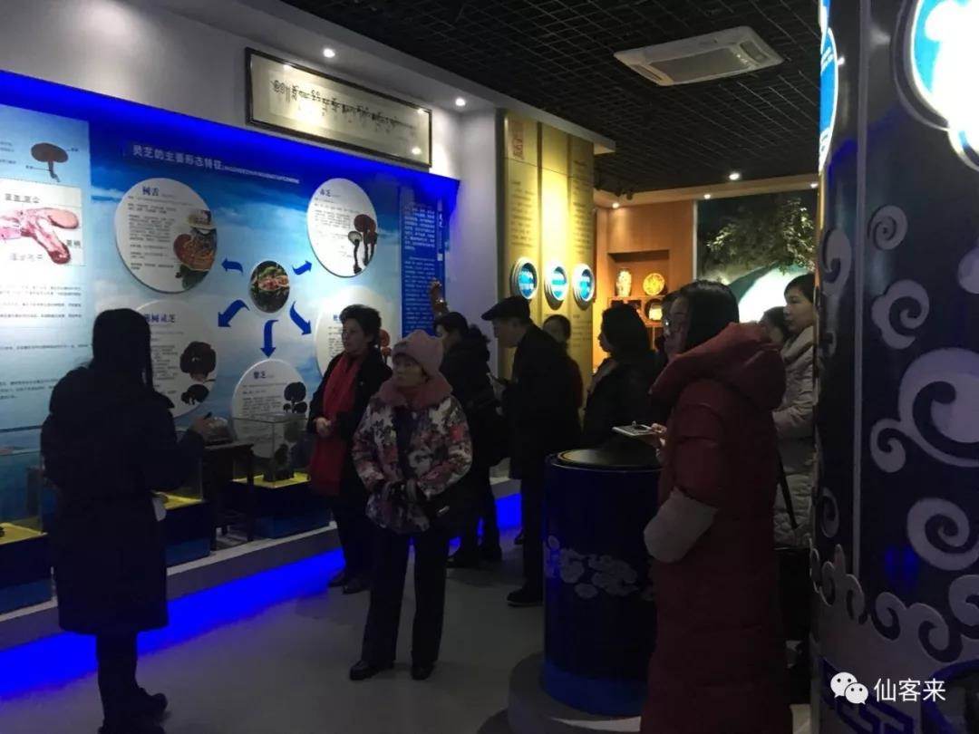 中國靈芝十大品牌|仙客來靈芝|仙客來靈芝破壁孢子粉|仙客來孢子油|仙客來靈芝飲片|仙客來破壁孢子粉|仙客來靈芝中藥飲片|馳名商標|m.ampersand-ads.com| 中國靈芝十大品牌|仙客來靈芝|仙客來靈芝破壁孢子粉|仙客來孢子油|仙客來靈芝飲片|仙客來破壁孢子粉|仙客來靈芝中藥飲片|馳名商標|m.ampersand-ads.com|