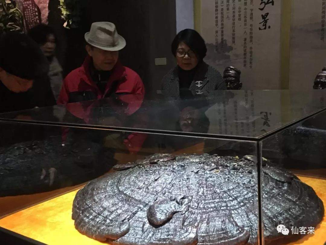 中國靈芝十大品牌|仙客來靈芝|仙客來靈芝破壁孢子粉|仙客來孢子油|仙客來靈芝飲片|仙客來破壁孢子粉|仙客來靈芝中藥飲片|馳名商標|m.ampersand-ads.com| 中國靈芝十大品牌|仙客來靈芝|仙客來靈芝破壁孢子粉|仙客來孢子油|仙客來靈芝飲片|仙客來破壁孢子粉|仙客來靈芝中藥飲片|馳名商標|m.ampersand-ads.com|