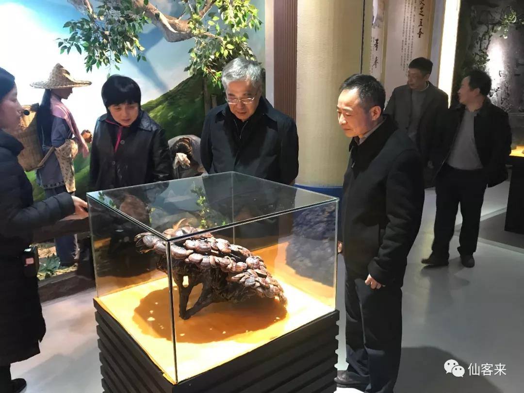 中國(guó)靈芝十大品牌|仙客來(lái)靈芝|仙客來(lái)靈芝破壁孢子粉|仙客來(lái)孢子油|仙客來(lái)靈芝飲片|仙客來(lái)破壁孢子粉|仙客來(lái)靈芝中藥飲片|馳名商標(biāo)|m.ampersand-ads.com|