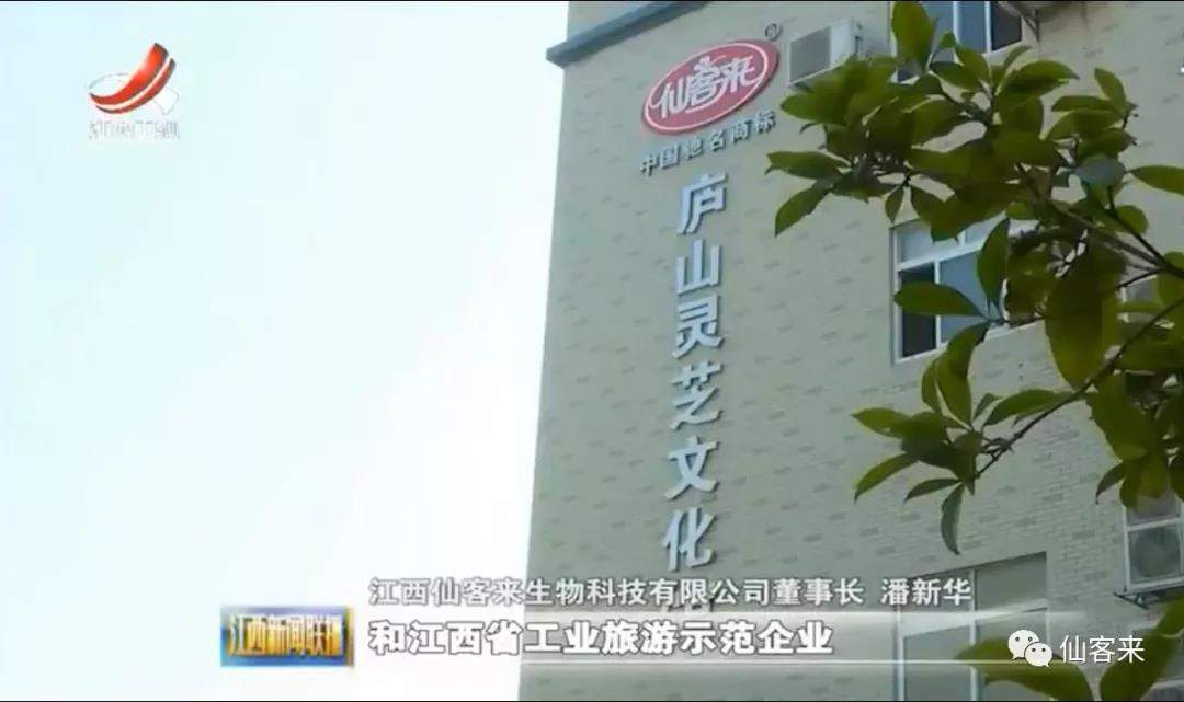 中國靈芝十大品牌|仙客來靈芝|仙客來靈芝破壁孢子粉|仙客來孢子油|仙客來靈芝飲片|仙客來破壁孢子粉|仙客來靈芝中藥飲片|馳名商標(biāo)|m.ampersand-ads.com|