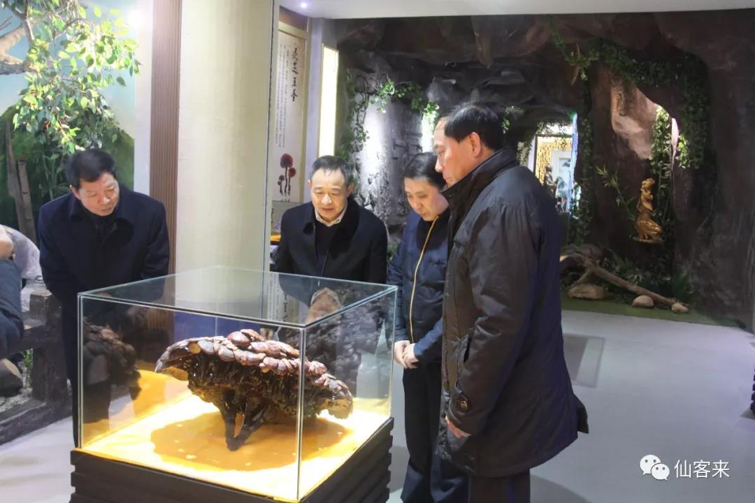 中國靈芝十大品牌|仙客來靈芝|仙客來靈芝破壁孢子粉|仙客來孢子油|仙客來靈芝飲片|仙客來破壁孢子粉|仙客來靈芝中藥飲片|馳名商標(biāo)|m.ampersand-ads.com|