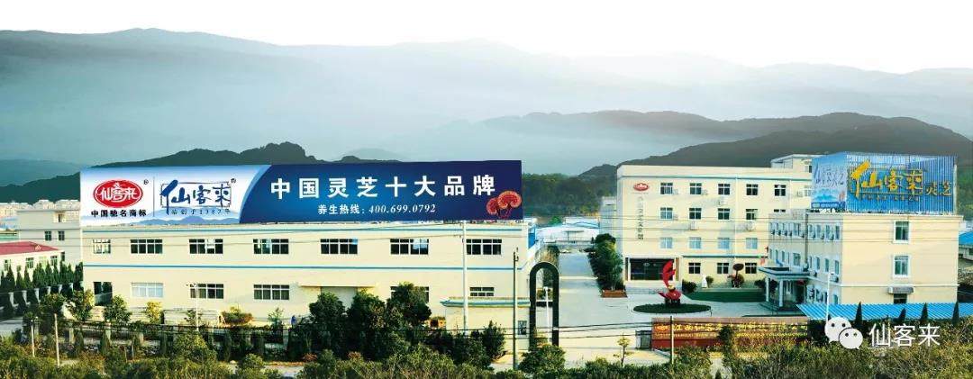 中國靈芝十大品牌|仙客來靈芝|仙客來靈芝破壁孢子粉|仙客來孢子油|仙客來靈芝飲片|仙客來破壁孢子粉|仙客來靈芝中藥飲片|馳名商標(biāo)|m.ampersand-ads.com|
