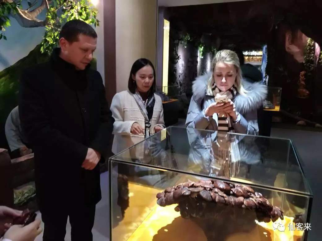 中國靈芝十大品牌|仙客來靈芝|仙客來靈芝破壁孢子粉|仙客來孢子油|仙客來靈芝飲片|仙客來破壁孢子粉|仙客來靈芝中藥飲片|馳名商標(biāo)|m.ampersand-ads.com| 中國靈芝十大品牌|仙客來靈芝|仙客來靈芝破壁孢子粉|仙客來孢子油|仙客來靈芝飲片|仙客來破壁孢子粉|仙客來靈芝中藥飲片|馳名商標(biāo)|m.ampersand-ads.com|