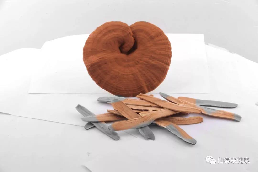 中國靈芝十大品牌|仙客來靈芝|仙客來靈芝破壁孢子粉|仙客來孢子油|仙客來靈芝飲片|仙客來破壁孢子粉|仙客來靈芝中藥飲片|馳名商標(biāo)|m.ampersand-ads.com| 中國靈芝十大品牌|仙客來靈芝|仙客來靈芝破壁孢子粉|仙客來孢子油|仙客來靈芝飲片|仙客來破壁孢子粉|仙客來靈芝中藥飲片|馳名商標(biāo)|m.ampersand-ads.com|