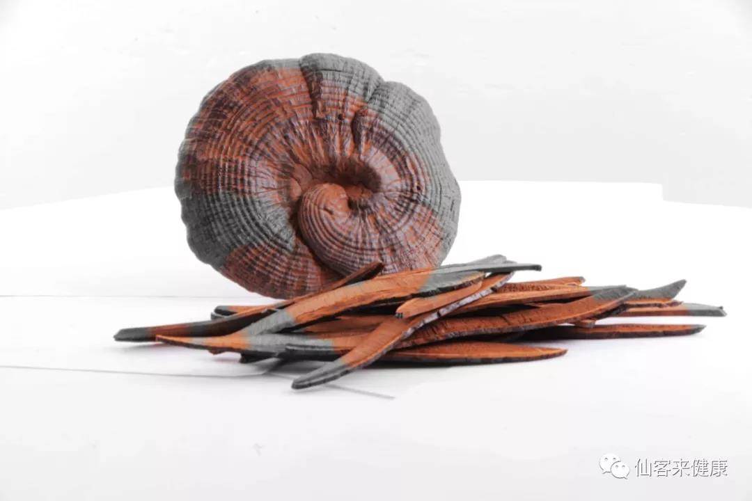 中國靈芝十大品牌|仙客來靈芝|仙客來靈芝破壁孢子粉|仙客來孢子油|仙客來靈芝飲片|仙客來破壁孢子粉|仙客來靈芝中藥飲片|馳名商標(biāo)|m.ampersand-ads.com| 中國靈芝十大品牌|仙客來靈芝|仙客來靈芝破壁孢子粉|仙客來孢子油|仙客來靈芝飲片|仙客來破壁孢子粉|仙客來靈芝中藥飲片|馳名商標(biāo)|m.ampersand-ads.com|