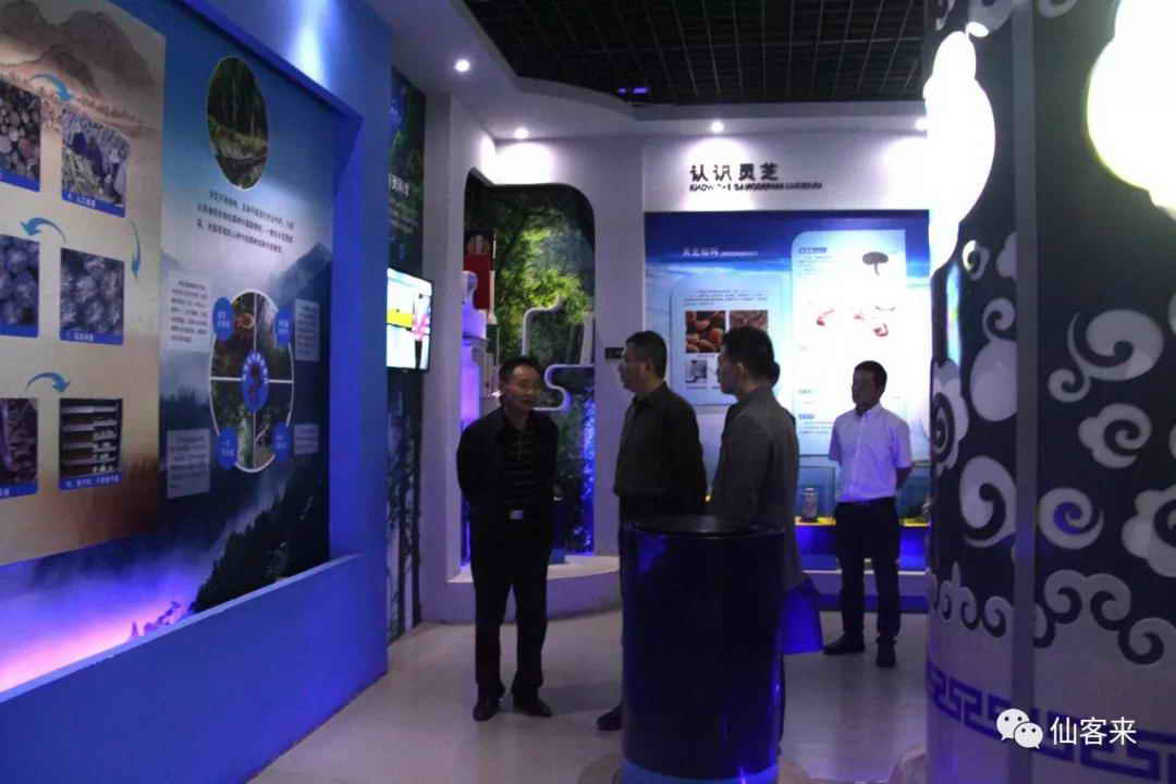 中國靈芝十大品牌|仙客來靈芝|仙客來靈芝破壁孢子粉|仙客來孢子油|仙客來靈芝飲片|仙客來破壁孢子粉|仙客來靈芝中藥飲片|馳名商標(biāo)|m.ampersand-ads.com|