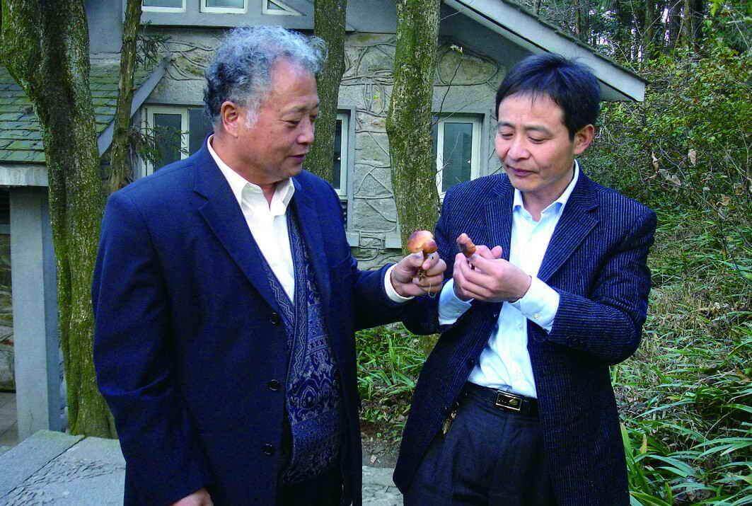 杭州亞運會官方靈芝產(chǎn)品供應商|杭州亞運會官方供應商|中國靈芝十大品牌|仙客來靈芝|仙客來靈芝破壁孢子粉|仙客來孢子油|仙客來靈芝飲片|仙客來破壁孢子粉|靈芝孢子油|孢子粉|靈芝破壁孢子粉|靈芝|中華老字號 杭州亞運會官方靈芝產(chǎn)品供應商|杭州亞運會官方供應商|中國靈芝十大品牌|仙客來靈芝|仙客來靈芝破壁孢子粉|仙客來孢子油|仙客來靈芝飲片|仙客來破壁孢子粉|靈芝孢子油|孢子粉|靈芝破壁孢子粉|靈芝|中華老字號