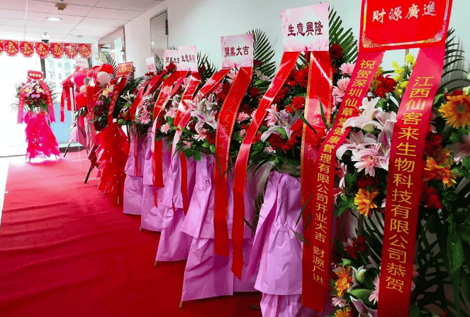 中國(guó)靈芝十大品牌|仙客來靈芝|仙客來靈芝破壁孢子粉|仙客來孢子油|仙客來靈芝飲片|仙客來破壁孢子粉|仙客來靈芝中藥飲片|馳名商標(biāo)|m.ampersand-ads.com|