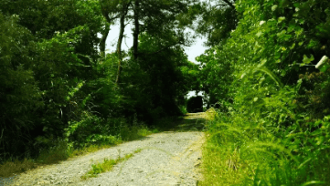 中國靈芝十大品牌|仙客來靈芝|仙客來靈芝破壁孢子粉|仙客來孢子油|仙客來靈芝飲片|仙客來破壁孢子粉|仙客來靈芝中藥飲片|馳名商標(biāo)|m.ampersand-ads.com| 中國靈芝十大品牌|仙客來靈芝|仙客來靈芝破壁孢子粉|仙客來孢子油|仙客來靈芝飲片|仙客來破壁孢子粉|仙客來靈芝中藥飲片|馳名商標(biāo)|m.ampersand-ads.com|