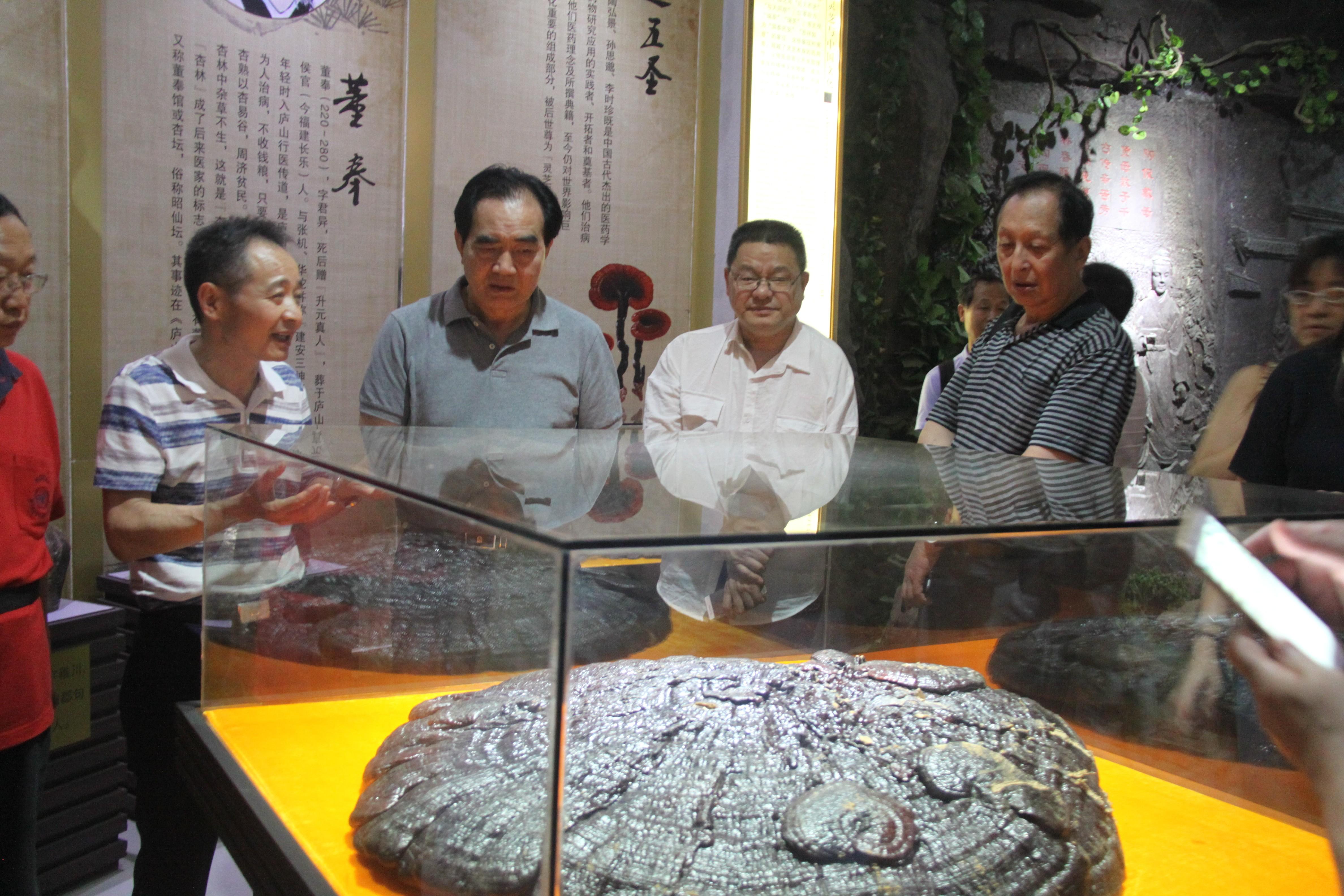 中國靈芝十大品牌|仙客來靈芝|仙客來靈芝破壁孢子粉|仙客來孢子油|仙客來靈芝飲片|仙客來破壁孢子粉|仙客來靈芝中藥飲片|馳名商標|m.ampersand-ads.com|