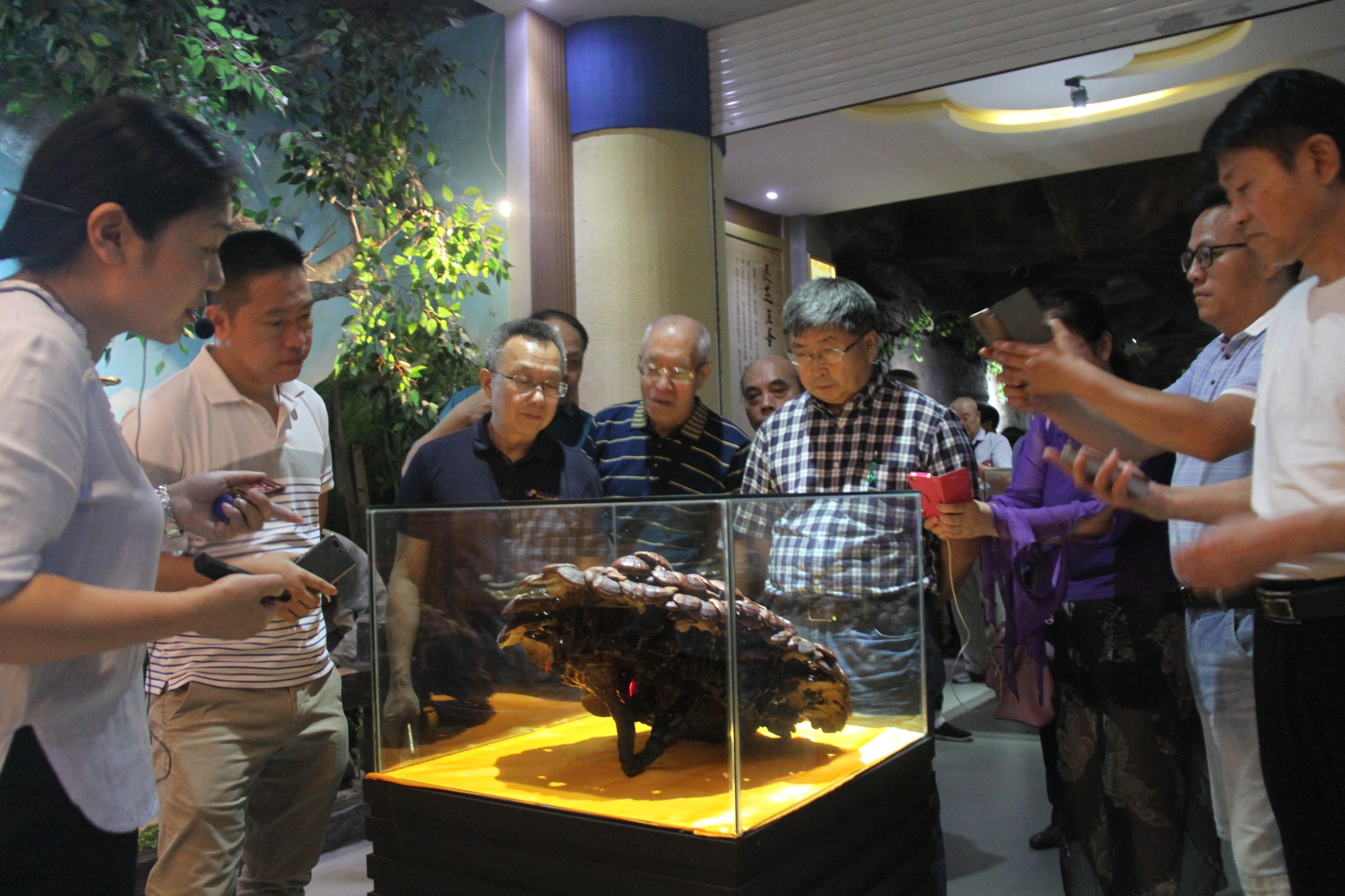 中國靈芝十大品牌|仙客來靈芝|仙客來靈芝破壁孢子粉|仙客來孢子油|仙客來靈芝飲片|仙客來破壁孢子粉|仙客來靈芝中藥飲片|馳名商標|m.ampersand-ads.com|