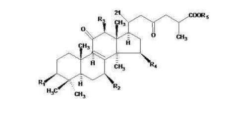 中國(guó)靈芝十大品牌|仙客來(lái)靈芝|仙客來(lái)靈芝破壁孢子粉|仙客來(lái)孢子油|仙客來(lái)靈芝飲片|仙客來(lái)破壁孢子粉|仙客來(lái)靈芝中藥飲片|馳名商標(biāo)|m.ampersand-ads.com| 中國(guó)靈芝十大品牌|仙客來(lái)靈芝|仙客來(lái)靈芝破壁孢子粉|仙客來(lái)孢子油|仙客來(lái)靈芝飲片|仙客來(lái)破壁孢子粉|仙客來(lái)靈芝中藥飲片|馳名商標(biāo)|m.ampersand-ads.com|